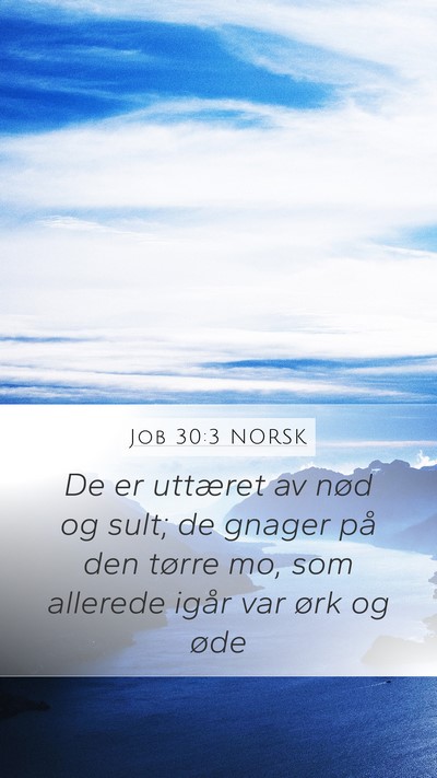 Job 30:3 NORSK Bible Verse Image