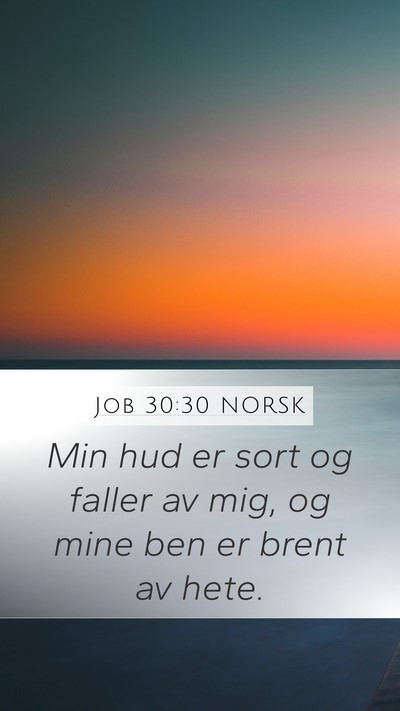 Job 30:30 NORSK Bible Verse Image