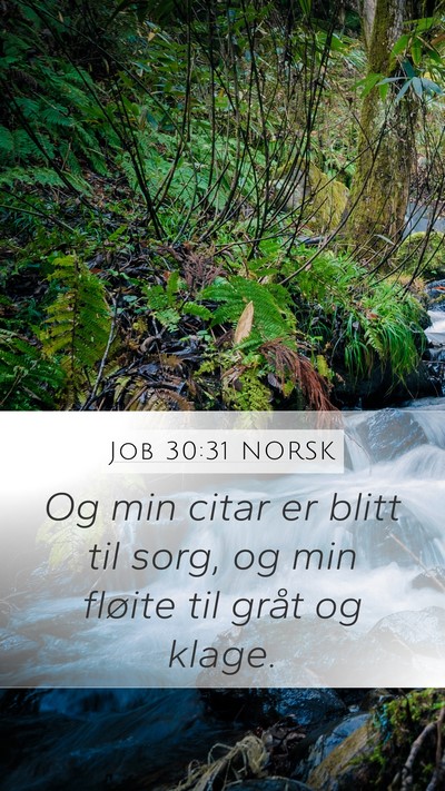 Job 30:31 NORSK Mobile Phone Wallpaper - Og min citar er blitt til sorg, og min fløite - Mobile Bible Verse Wallpaper