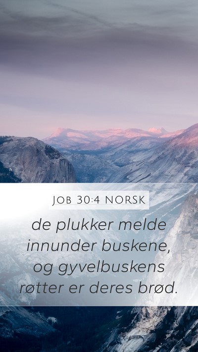 Job 30:4 NORSK Mobile Phone Wallpaper - de plukker melde innunder buskene, og - Mobile Bible Verse Wallpaper
