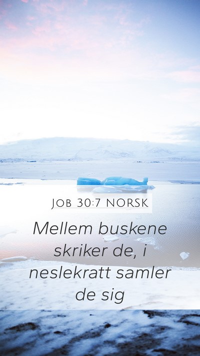 Job 30:7 NORSK Bible Verse Image