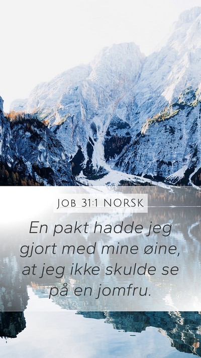 Job 31:1 NORSK Bible Verse Image
