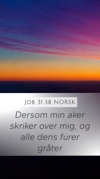 Job 31:38 NORSK Mobile Phone Wallpaper - Dersom min aker skriker over mig, og alle dens - Mobile Bible Verse Wallpaper