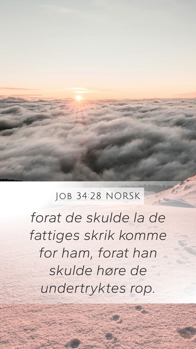 Job 34:28 NORSK Bible Verse Image
