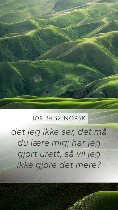 Job 34:32 NORSK Bible Verse Image