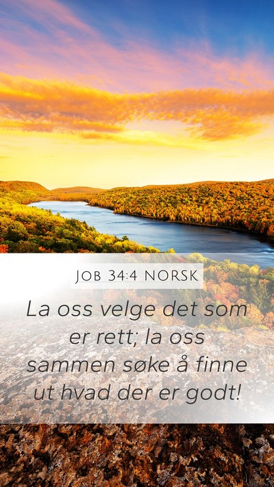 Job 34:4 NORSK Bible Verse Image