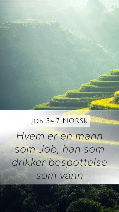 Job 34:7 NORSK Bible Verse Image
