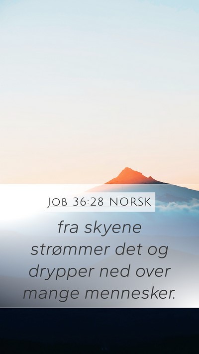 Job 36:28 NORSK Bible Verse Image