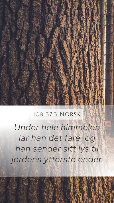 Job 37:3 NORSK Bible Verse Image