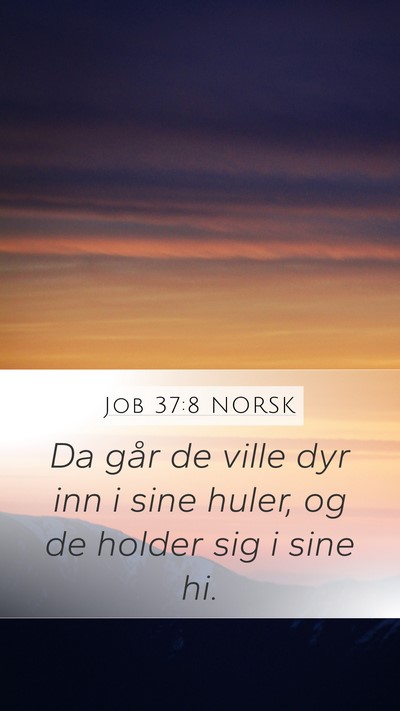 Job 37:8 NORSK Mobile Phone Wallpaper - Da går de ville dyr inn i sine huler, og de - Mobile Bible Verse Wallpaper