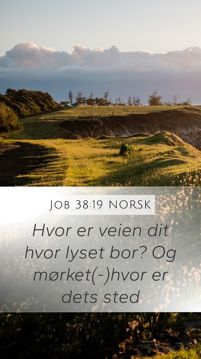 Job 38:19 NORSK Bible Verse Image