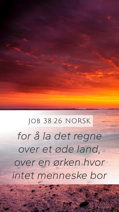 Job 38:26 NORSK Bible Verse Image