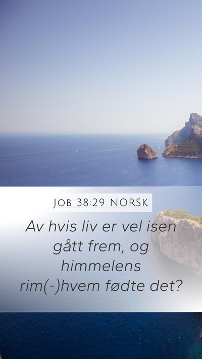 Job 38:29 NORSK Bible Verse Image