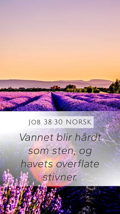Job 38:30 NORSK Bible Verse Image