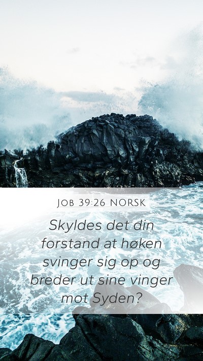 Job 39:26 NORSK Bible Verse Image