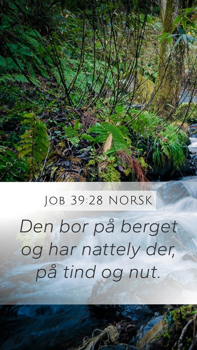 Job 39:28 NORSK Mobile Phone Wallpaper - Den bor på berget og har nattely der, på tind - Mobile Bible Verse Wallpaper
