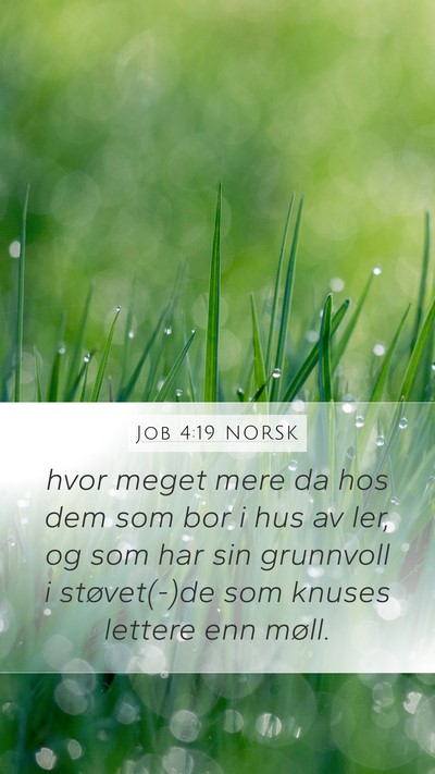 Job 4:19 NORSK Bible Verse Image