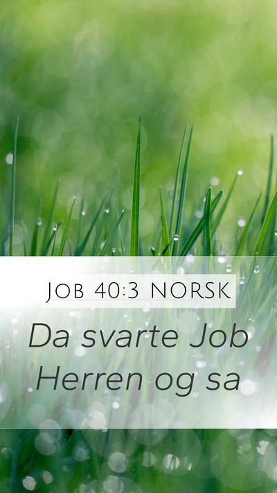 Job 40:3 NORSK Bible Verse Image