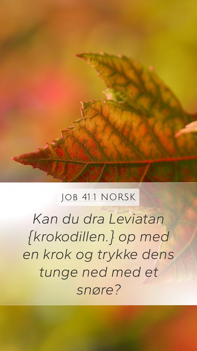 Job 41:1 NORSK Bible Verse Image