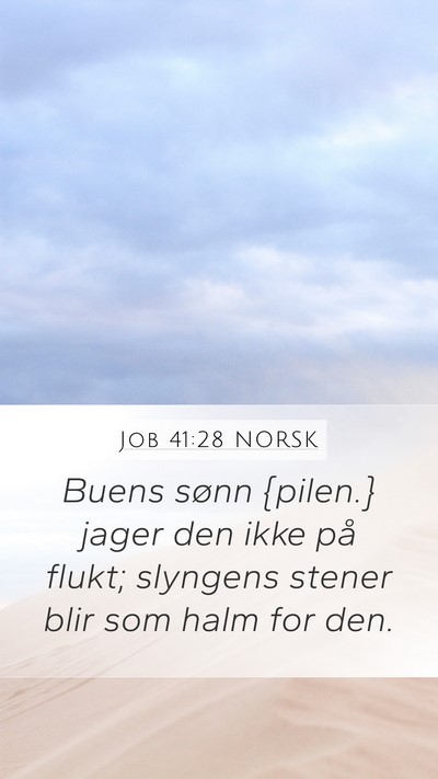 Job 41:28 NORSK Bible Verse Image