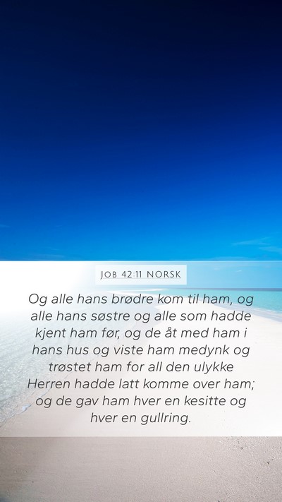 Job 42:11 NORSK Bible Verse Image