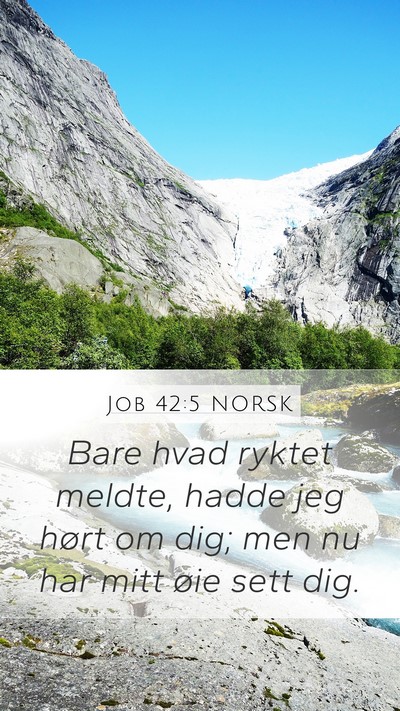 Job 42:5 NORSK Bible Verse Image