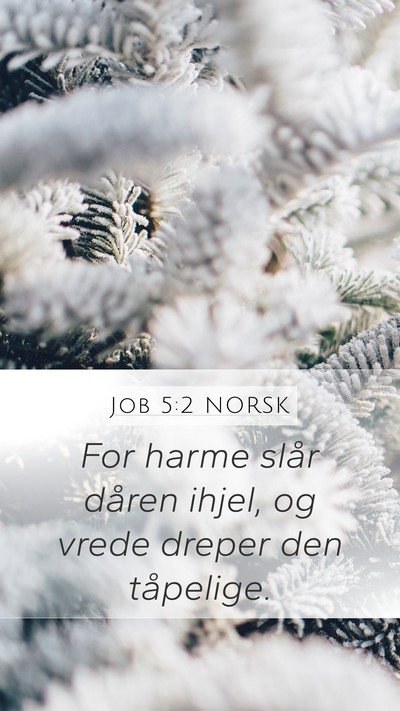 Job 5:2 NORSK Bible Verse Image