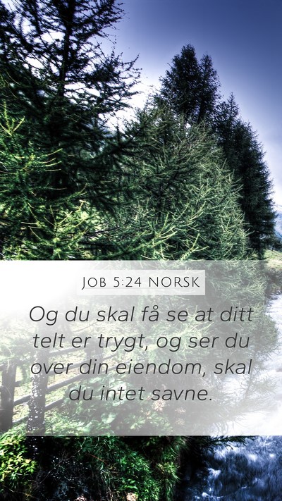 Job 5:24 NORSK Bible Verse Image
