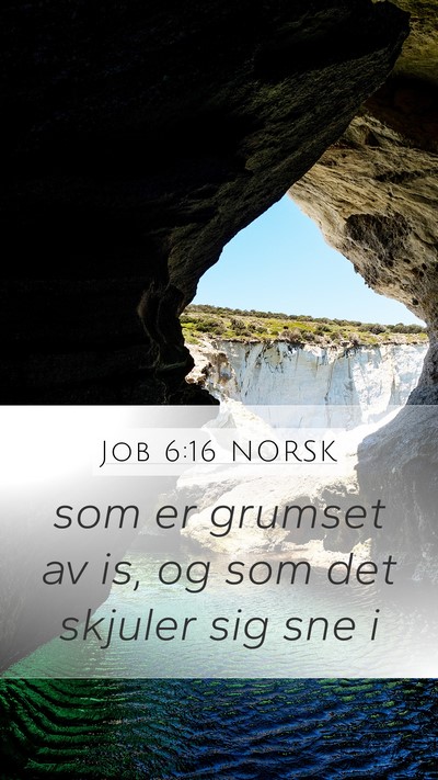 Job 6:16 NORSK Bible Verse Image