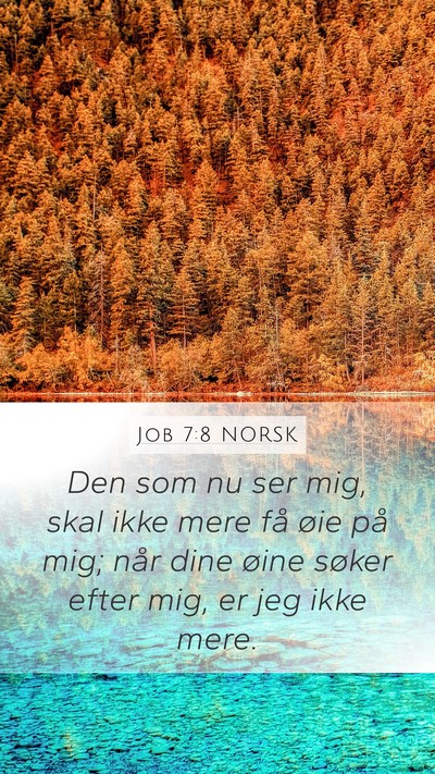 Job 7:8 NORSK Bible Verse Image