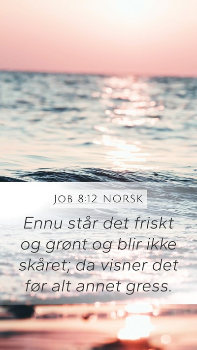 Job 8:12 NORSK Bible Verse Image