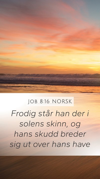 Job 8:16 NORSK Bible Verse Image