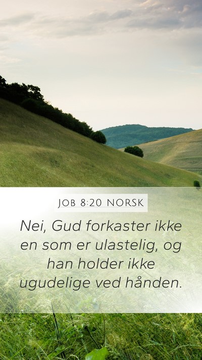Job 8:20 NORSK Bible Verse Image