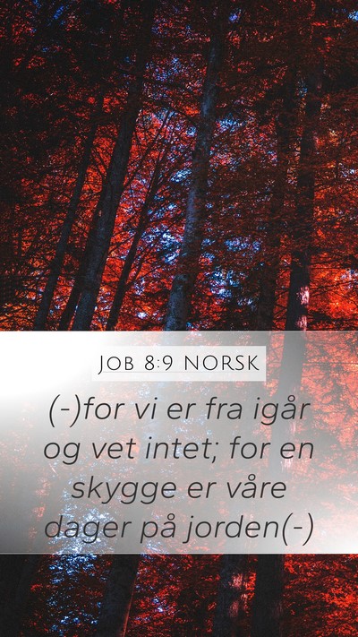 Job 8:9 NORSK Bible Verse Image