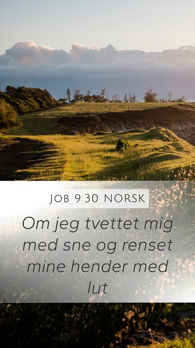 Job 9:30 NORSK Bible Verse Image