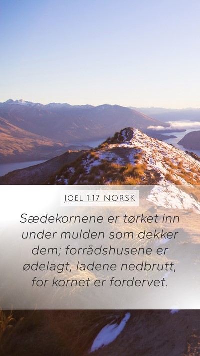 Joel 1:17 NORSK Bible Verse Image