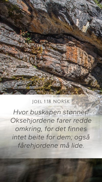 Joel 1:18 NORSK Bible Verse Image