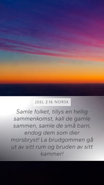 Joel 2:16 NORSK Bible Verse Image