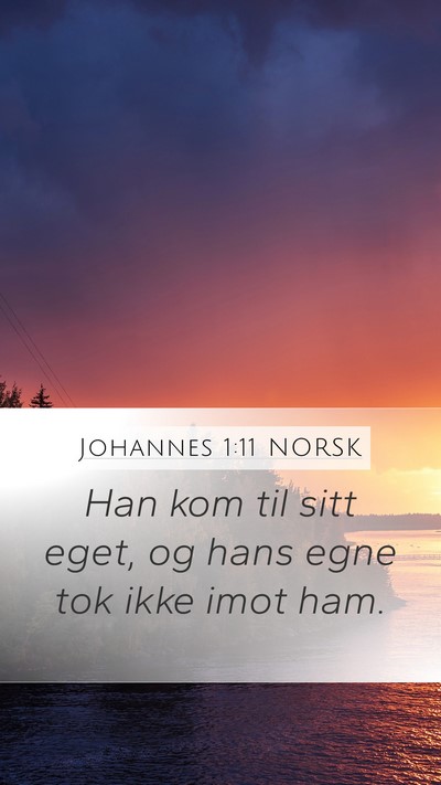 Johannes 1:11 NORSK Bible Verse Image