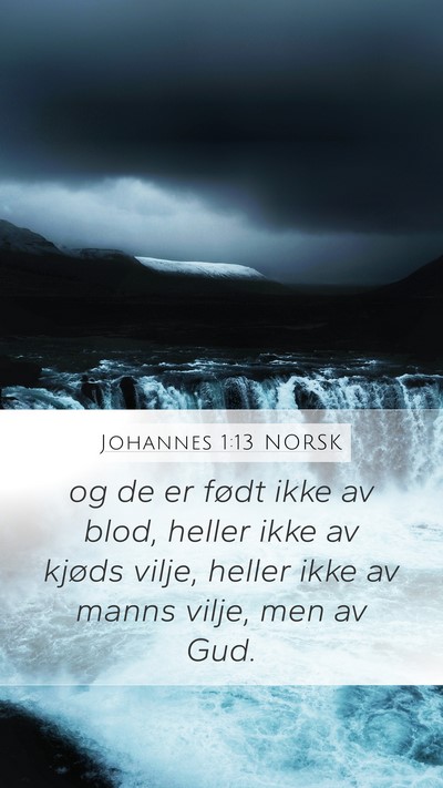 Johannes 1:13 NORSK Bible Verse Image