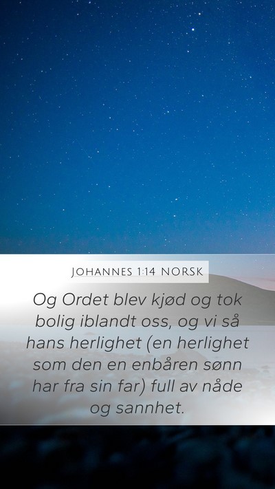 Johannes 1:14 NORSK Bible Verse Image