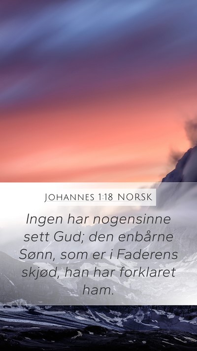 Johannes 1:18 NORSK Bible Verse Image