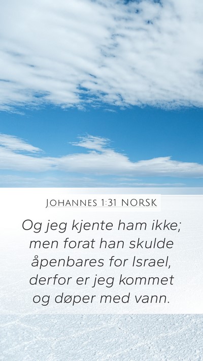 Johannes 1:31 NORSK Bible Verse Image