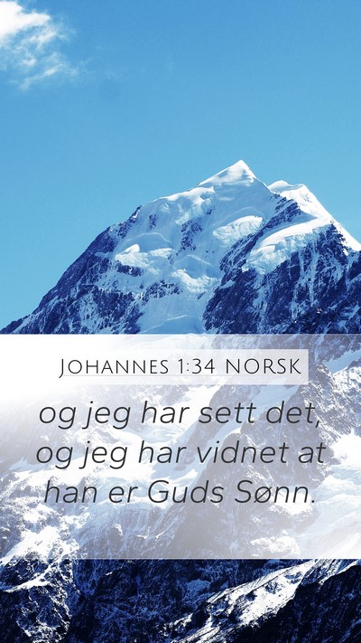 Johannes 1:34 NORSK Bible Verse Image