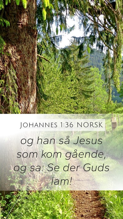 Johannes 1:36 NORSK Bible Verse Image