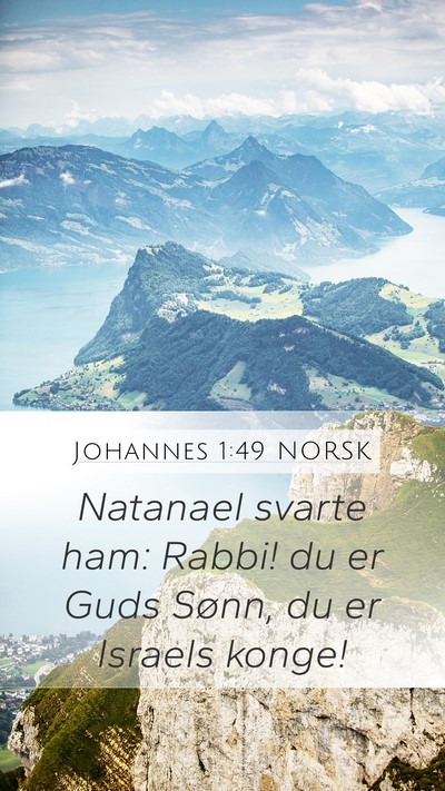 Johannes 1:49 NORSK Bible Verse Image