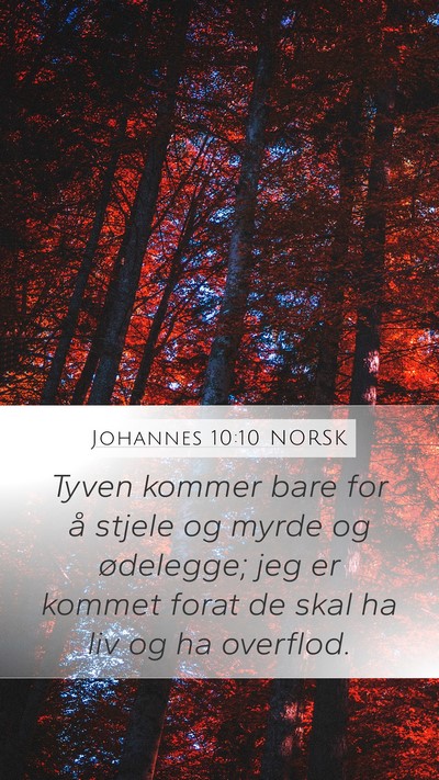 Johannes 10:10 NORSK Bible Verse Image
