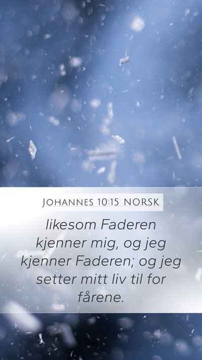 Johannes 10:15 NORSK Bible Verse Image