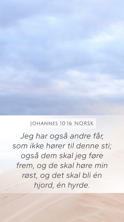 Johannes 10:16 NORSK Bible Verse Image