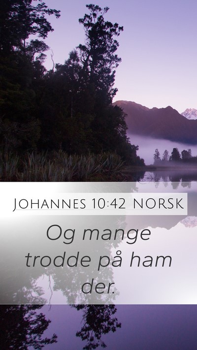 Johannes 10:42 NORSK Mobile Phone Wallpaper - Og mange trodde på ham - Mobile Bible Verse Wallpaper